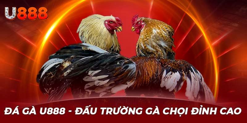 U888 luôn cập nhật các trận đấu hot nhất